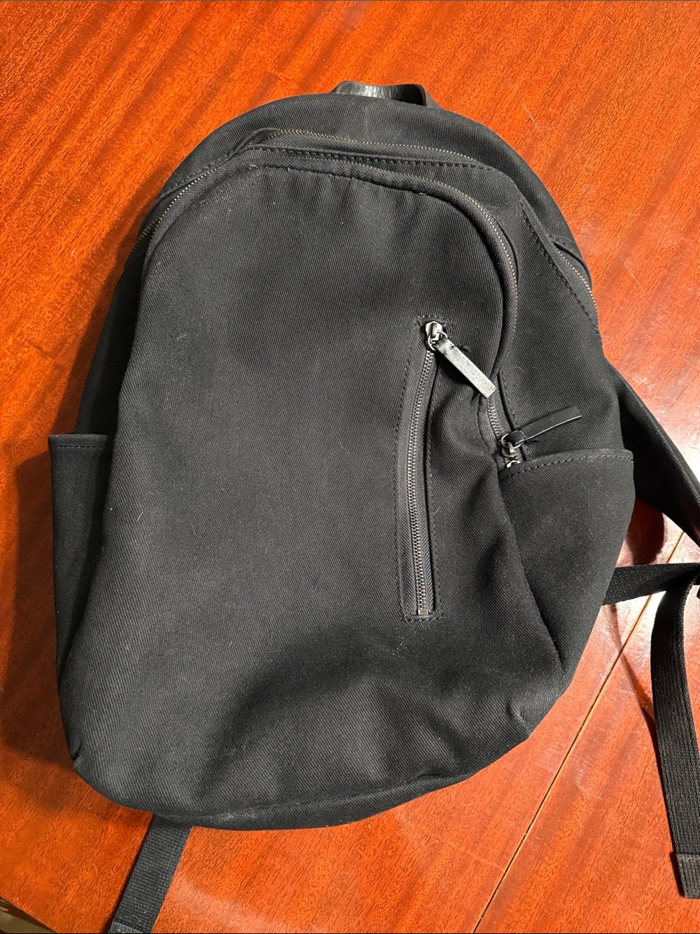 Everlane Modern Commuter Backpack